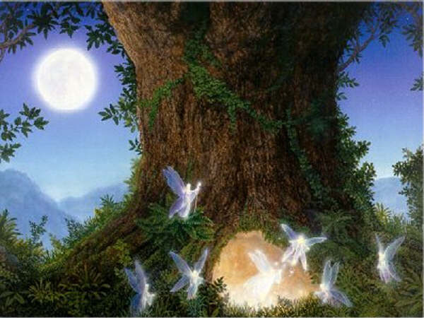 http://www.haciaeldespertar.org/galeria/hacia-el-despertar/Arbol%20de%20Hadas.jpg